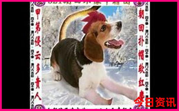 16岁适合去哪里旅游